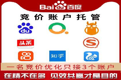 SEM推广优化实战：案例分析与启示